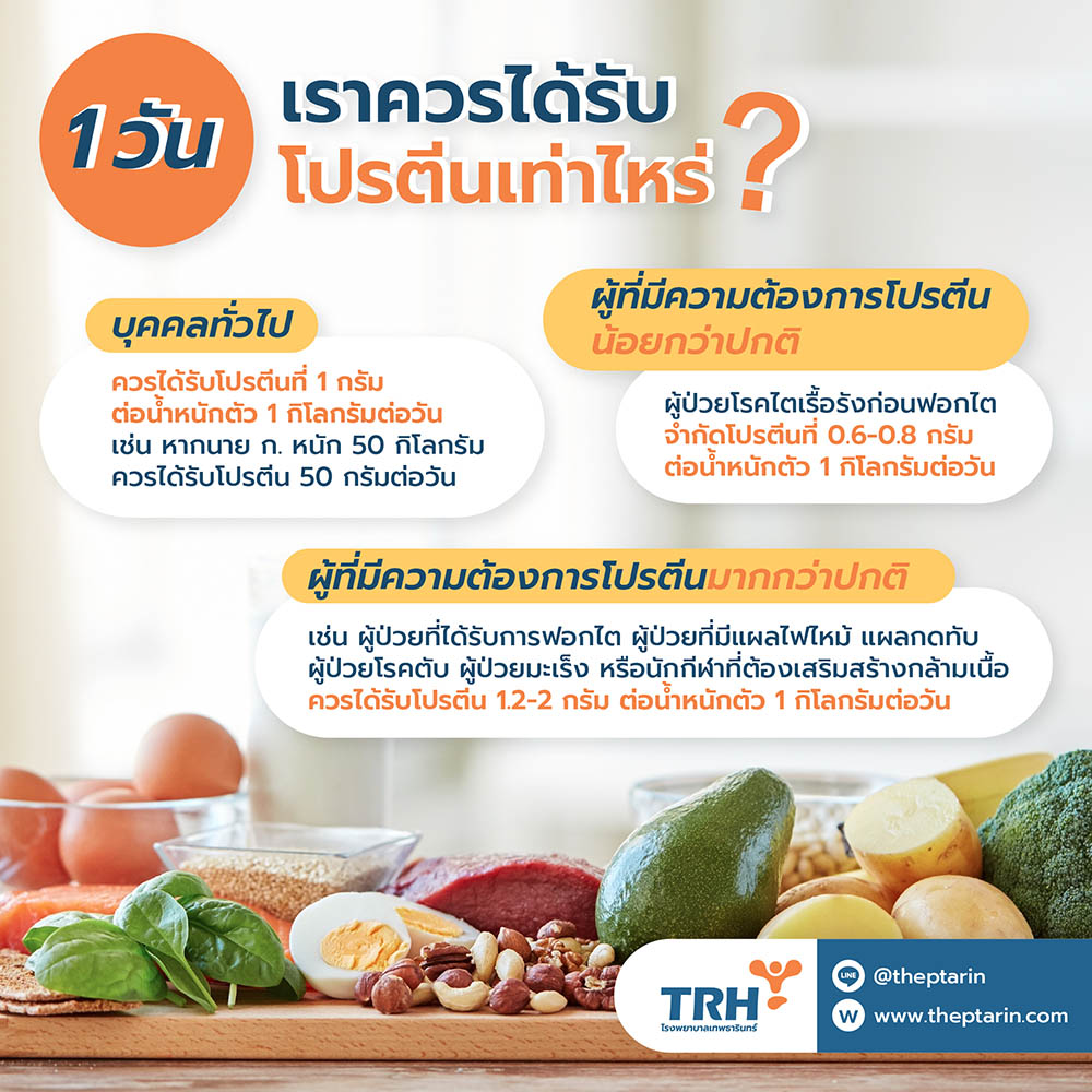 โปรตีนต่อวัน