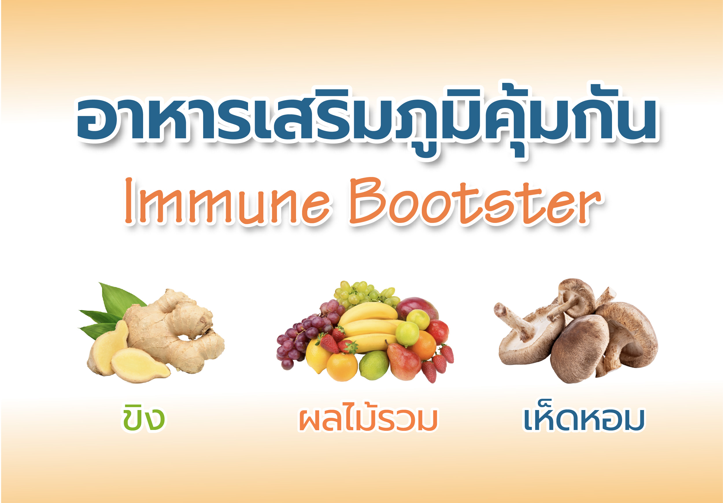 อาหารเสริมภูมิคุ้มกัน Immune Booster