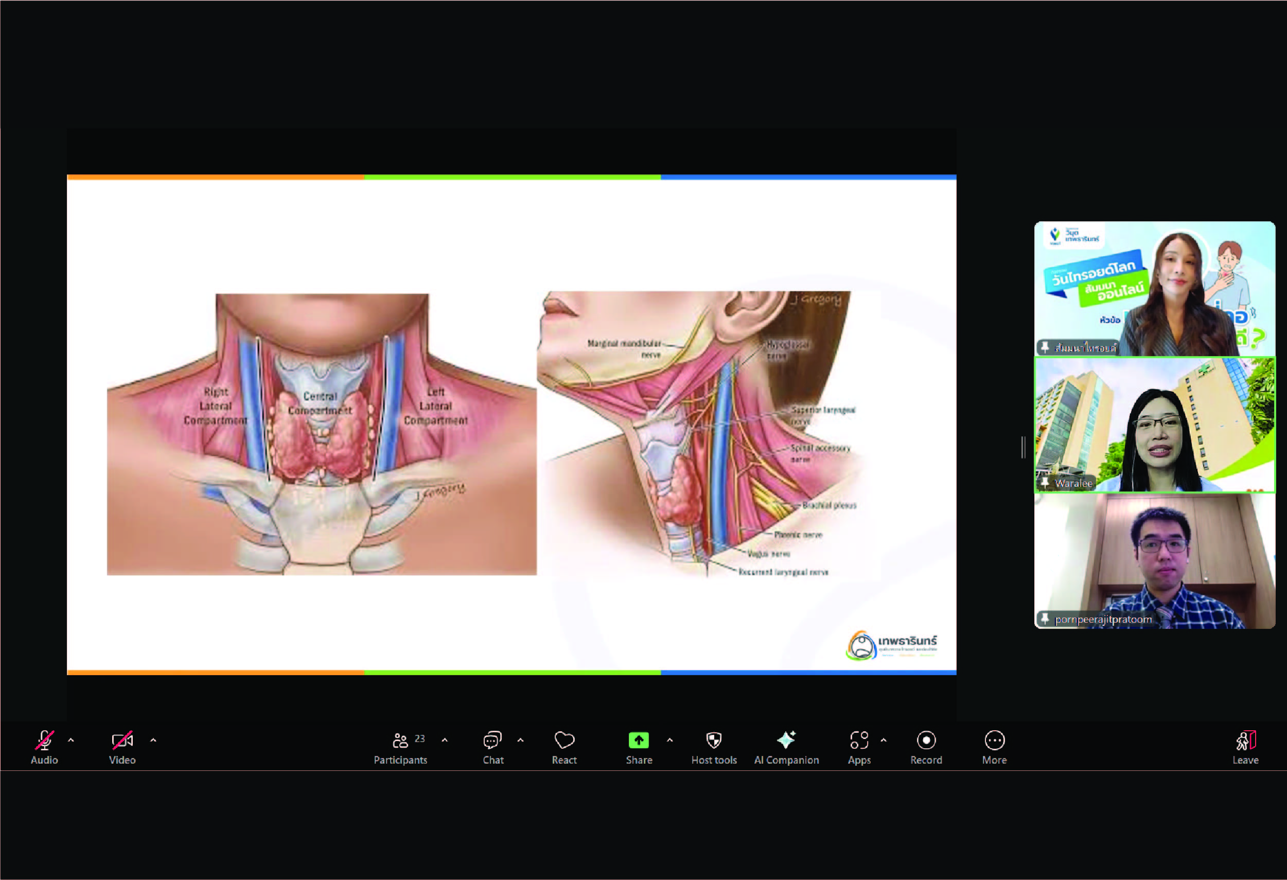 World Thyroid Day 2025